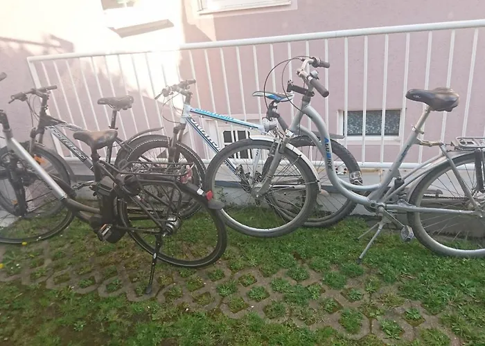 Lang